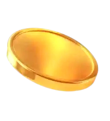 Coin icon — Immediate Rise quick withdrawal feature